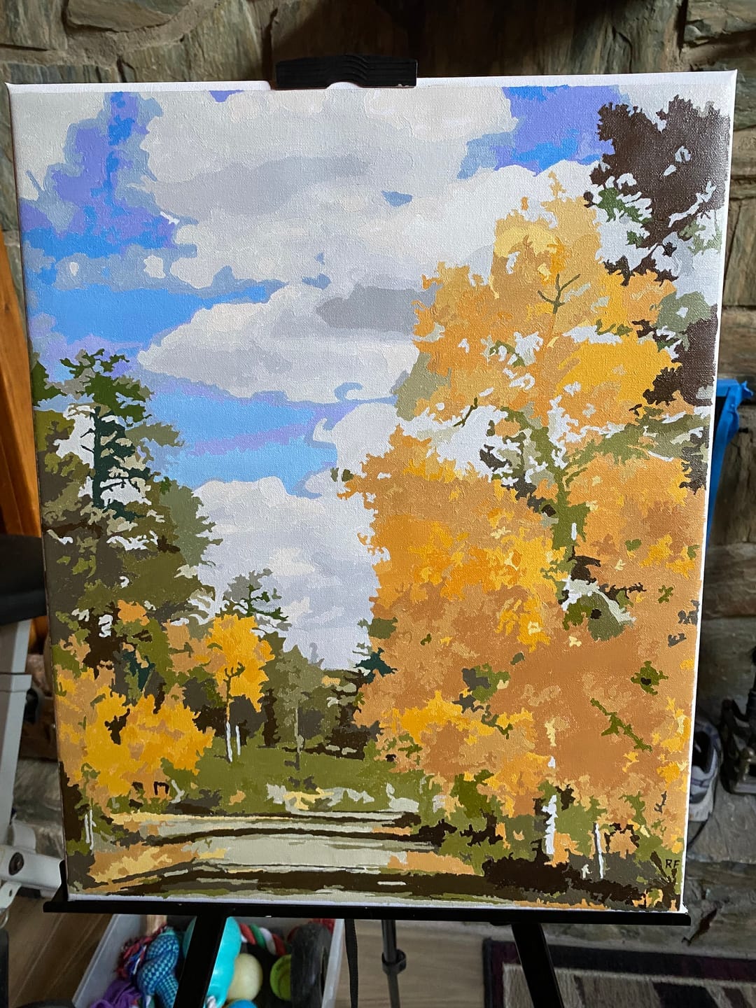 Customer photo review of Custom Paint by Numbers Kit