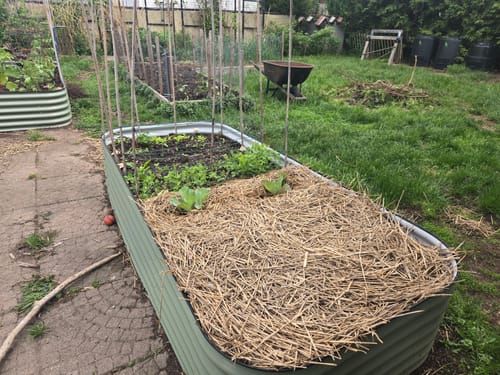 Customer photo review of 17” Tall Extension Kit