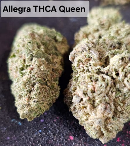 Customer photo review of THCA Queen