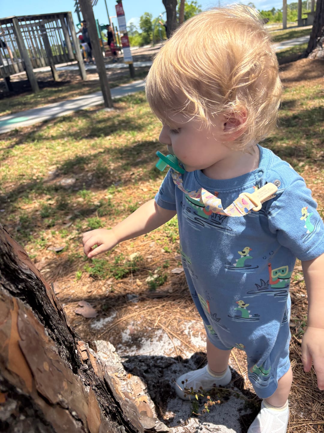 Customer photo review of Tiny Explorings [Summer Edition]