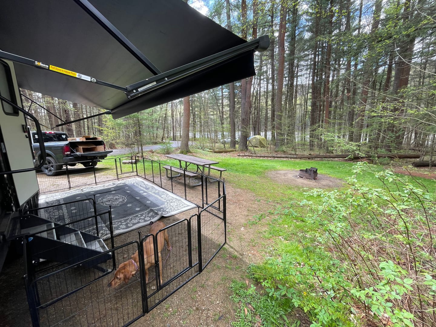 Customer photo review of Instant Dog Playpen for RV Trips