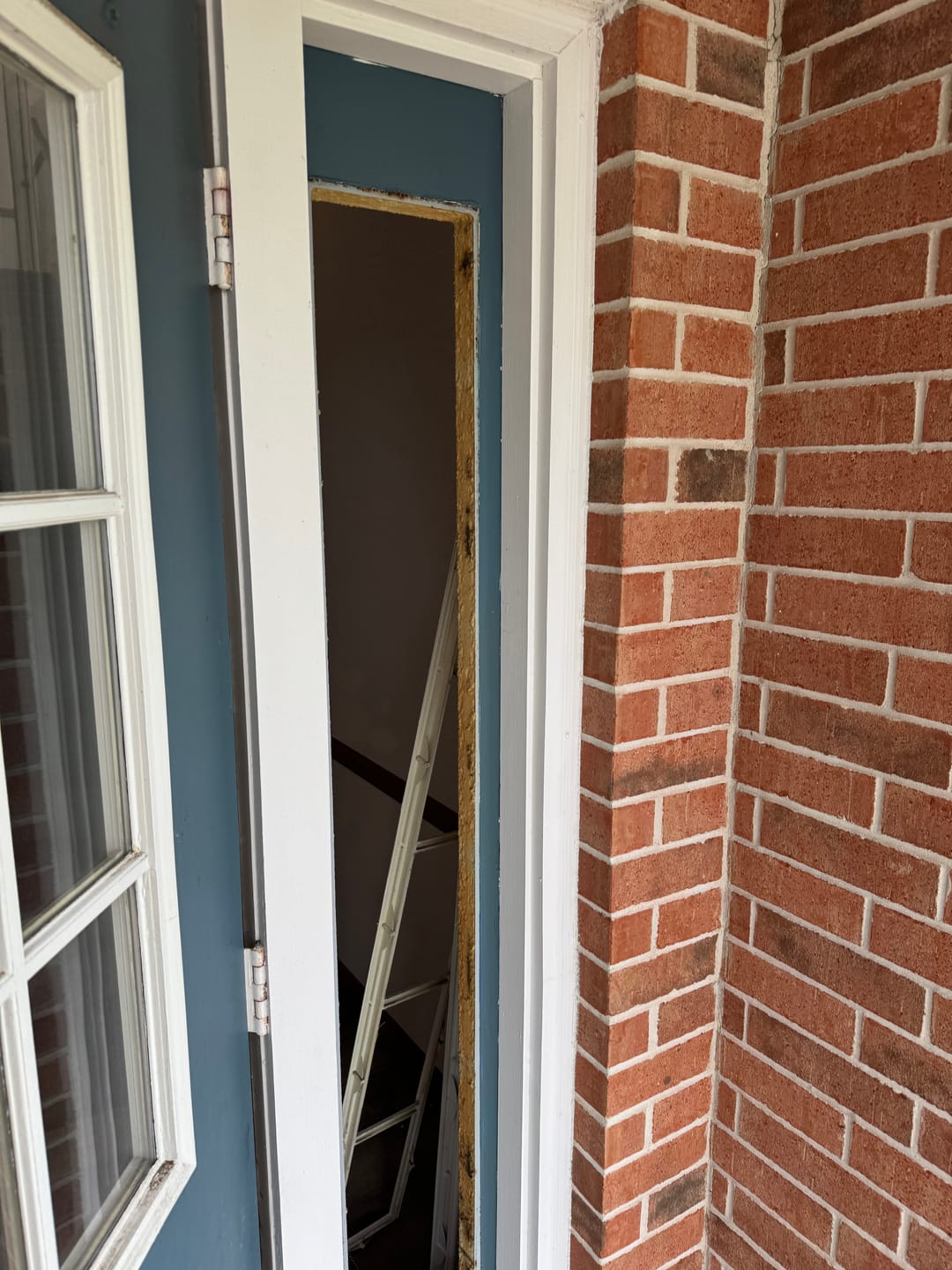 Customer photo review of Clear 5 Lite Glass and Frame Kit (Full Sidelite)