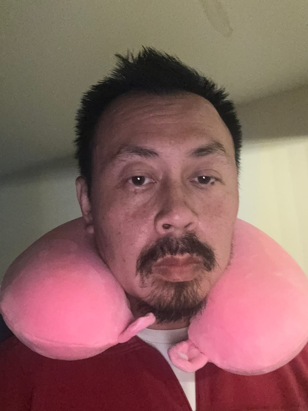 Customer photo review of Pig Relaxeazzz Plush Memory Foam Travel Pillow