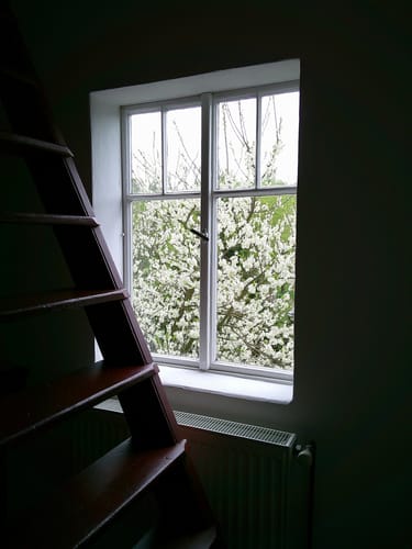 Customer photo review of NUVINT - Digitalkamera