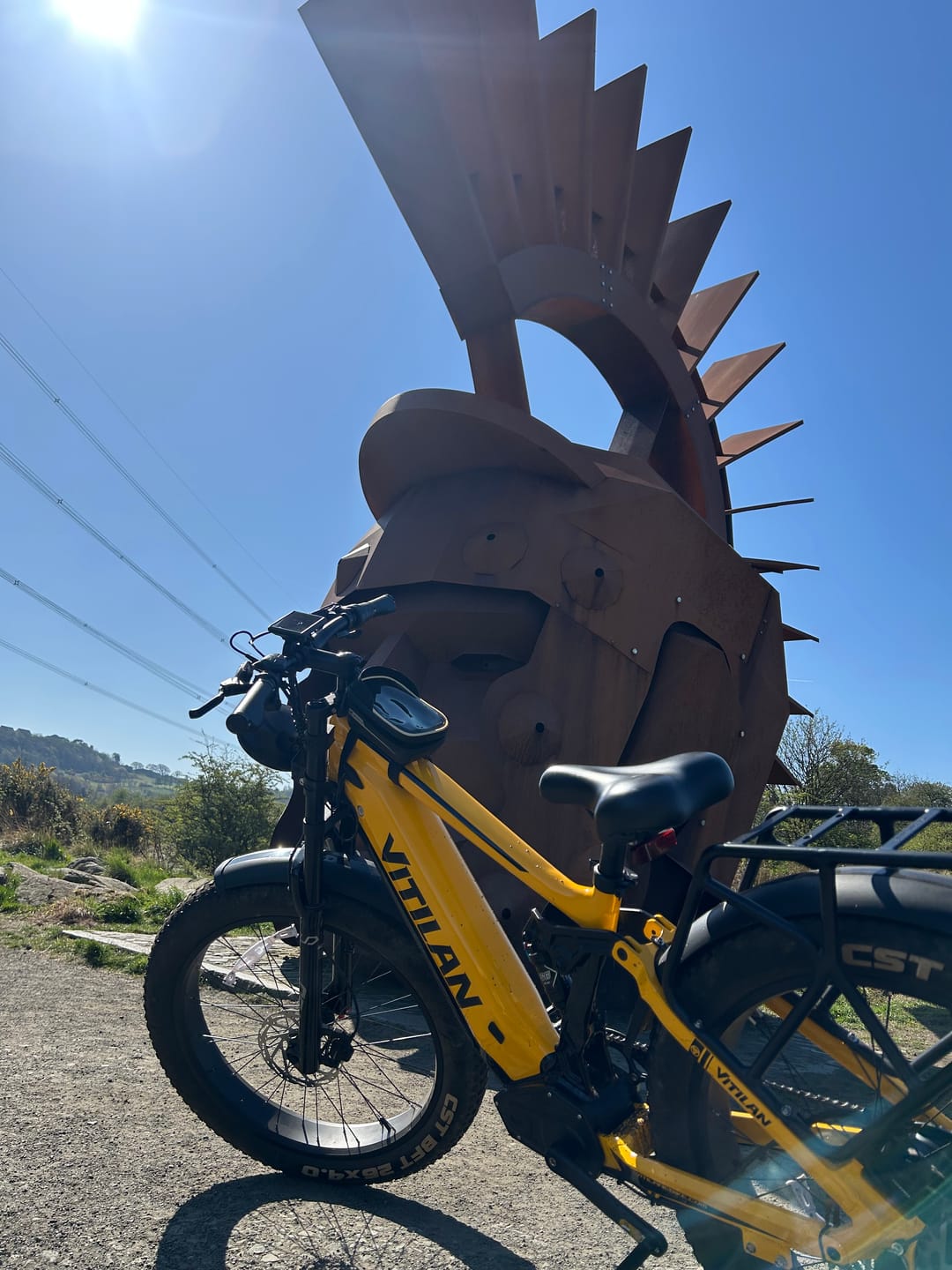 Customer photo review of T7 Full Suspension Mountain E-bike