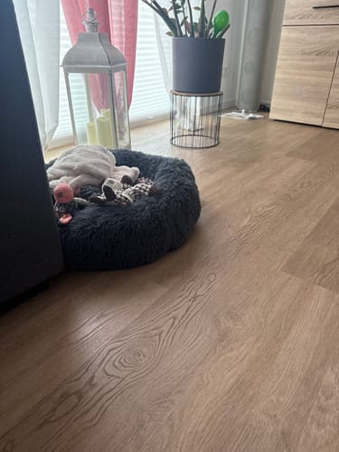 Customer photo review of Puppery Hundebett Wolke 7 - Das Original