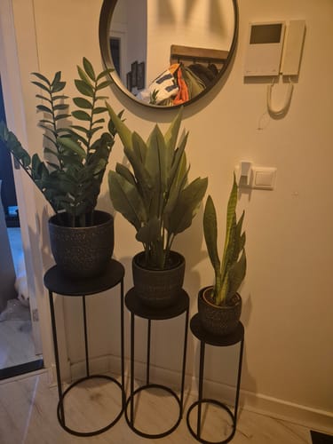 Customer photo review of Zamioculcas Kunstplant 75cm