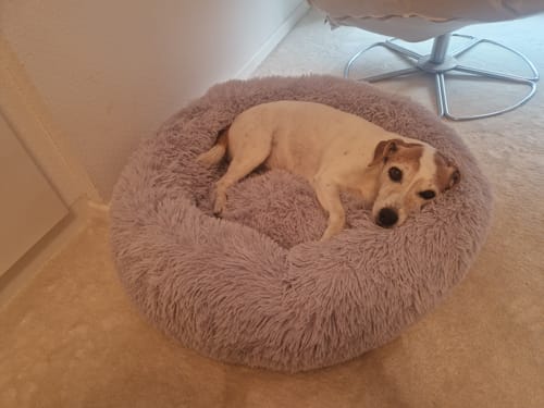 undefined review of Puppery Hundebett Wolke 7 - Das Original image 1 out of 1