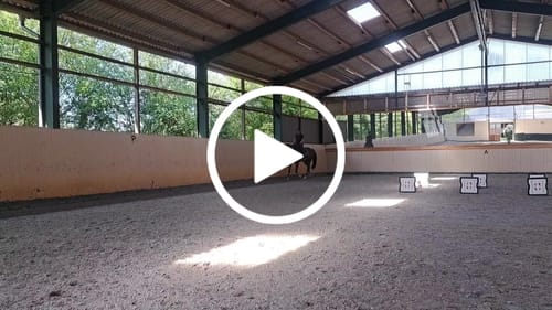 Customer video review of CR Harmonybridle - gebisslose 3 in 1 Trense