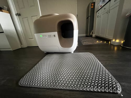 Customer photo review of Self-Cleaning Litter Box