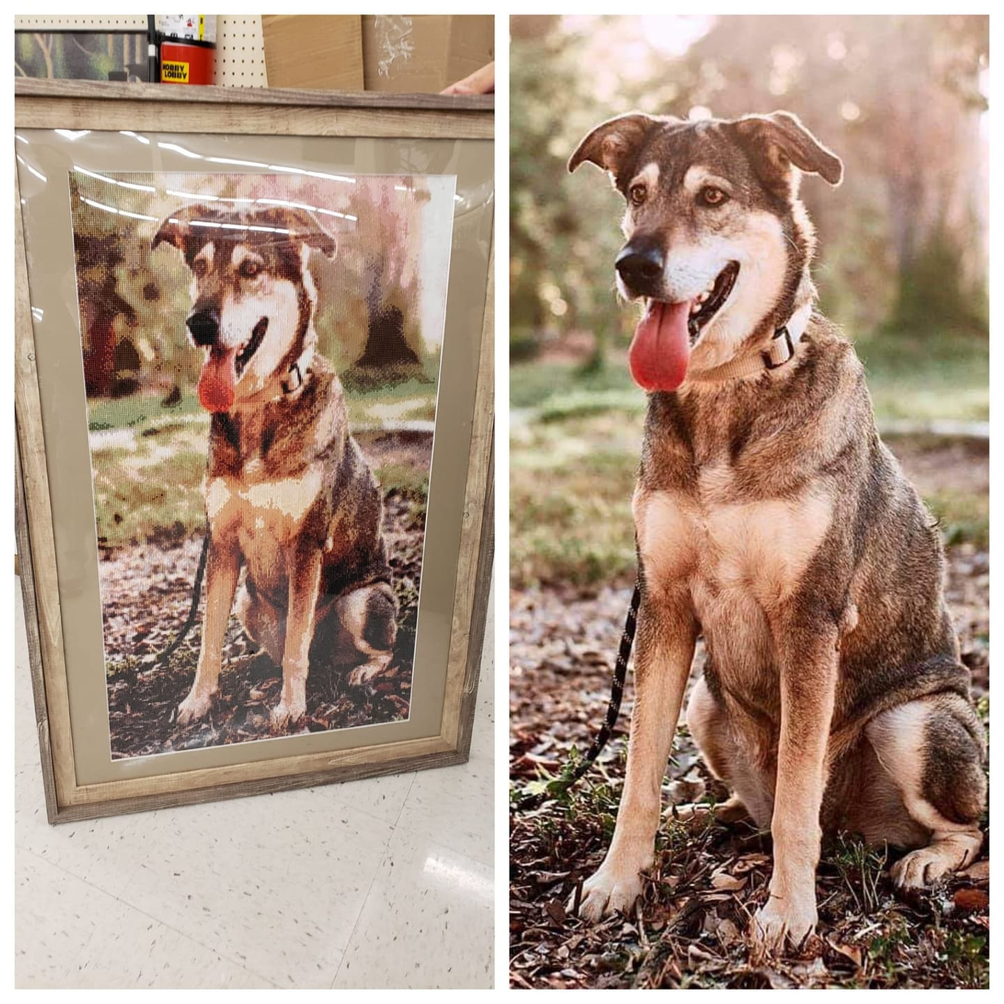 Customer photo review of DIAMOND PAINTING MED DIT EGET FOTO
