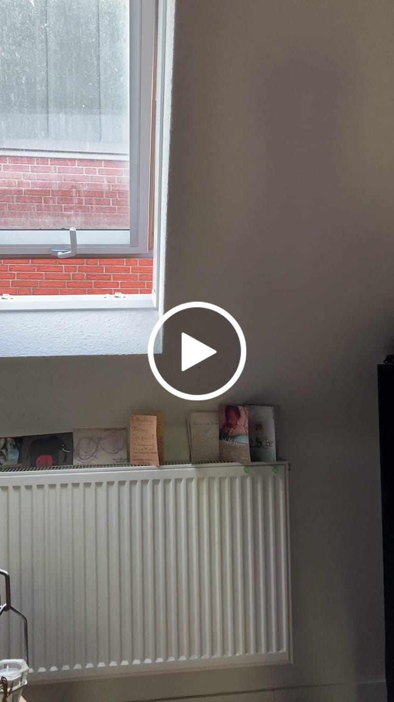 Customer video review of Now we have the Salad · Unisex Premium Bio T-Shirt