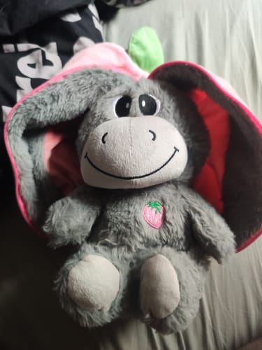 Customer photo review of Atmender Esel-Plüsch