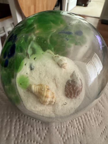 Customer photo review of Sea Life Glass Globe Paperweight, Green