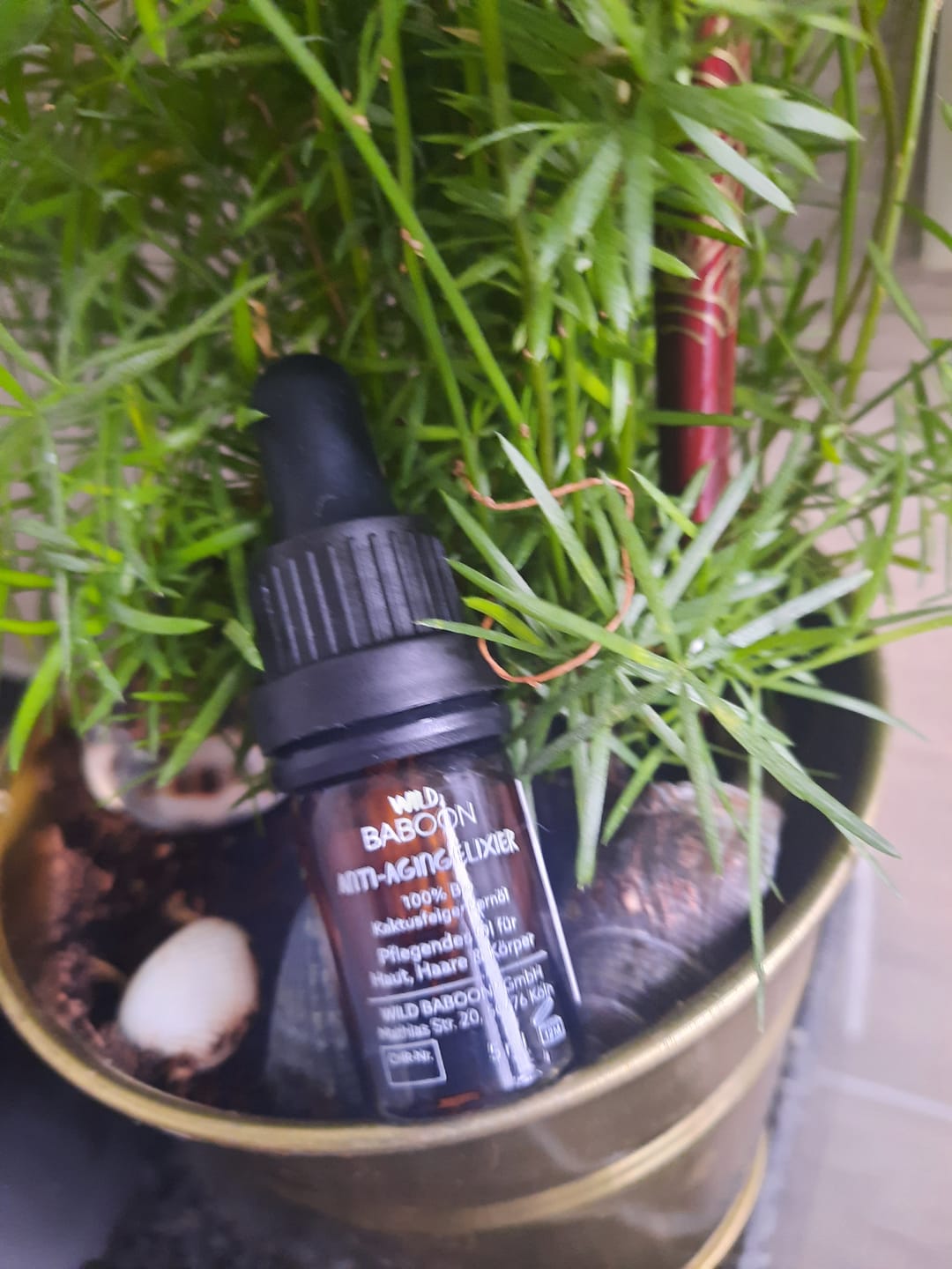 Customer photo review of 🌵MINI: Bio Kaktusfeigenkernöl - Anti-Aging Elixier - 5ml