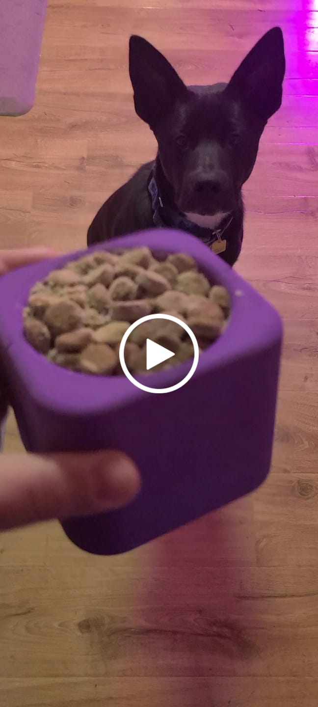 Customer video review of Freezbox - Super Tough Treat Toy