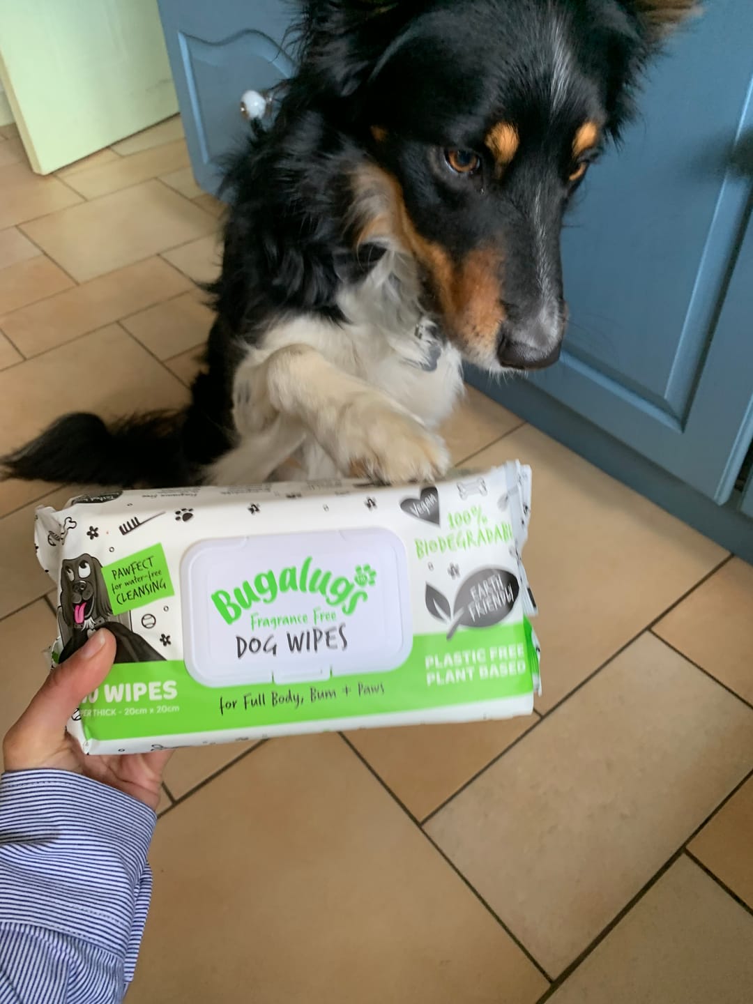 Customer photo review of Fragrance Free Pet Wipes for Full Body, Bum & Paws (110)