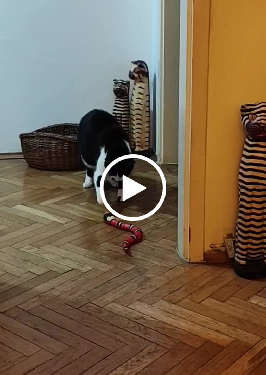 Customer video review of Pametna Igračka Zmija za Mačke