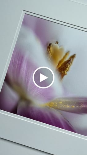 Customer video review of 13x19 Giclee Fine Art Prints