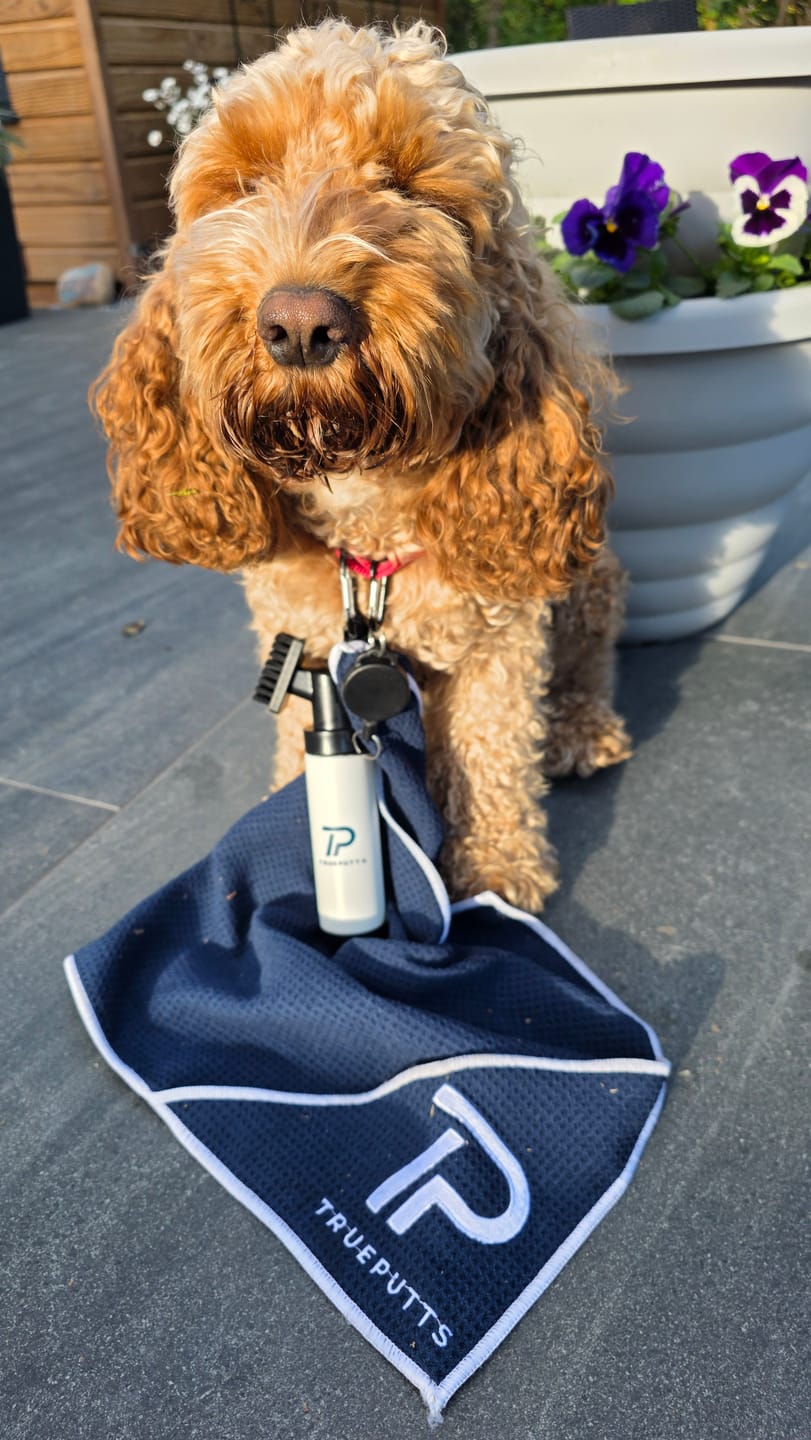 Customer photo review of TruePutts Golf Brush