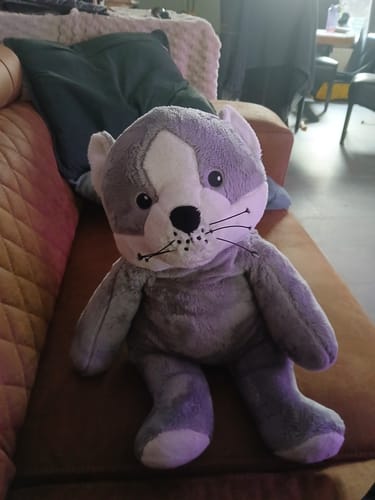 Customer photo review of Lotgenootje Kat 2kg