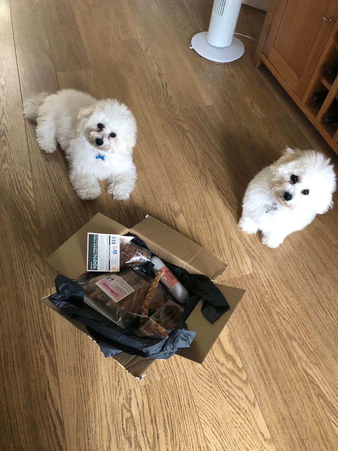 Customer photo review of JR Pet Products Puppy Bundle (12+ Weeks) | Hypoallergenic Natural Treats & Chews for Growing Dogs