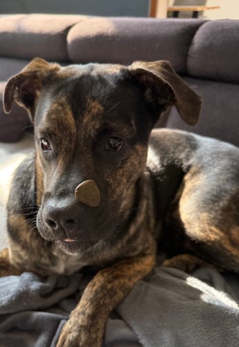 Customer photo review of Relax Time