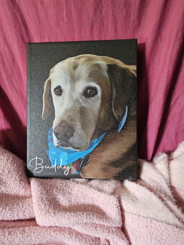 Customer photo review of Pet Art Canvas Wrap