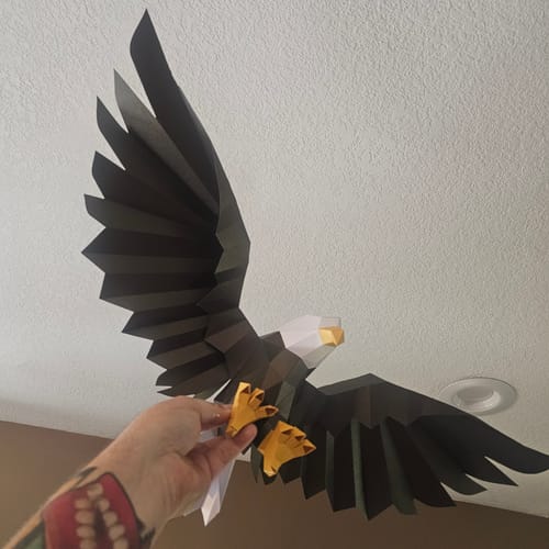 Customer photo review of Eagle Wall Art