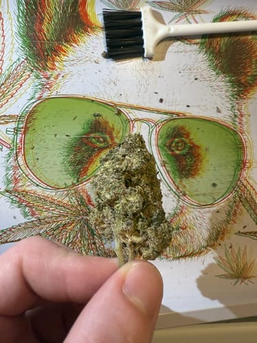 Customer photo review of RS11