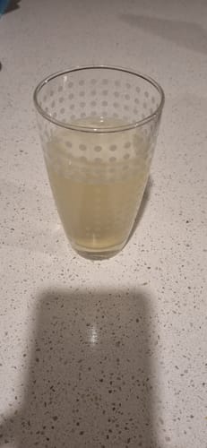 Customer photo review of Lemon Lime