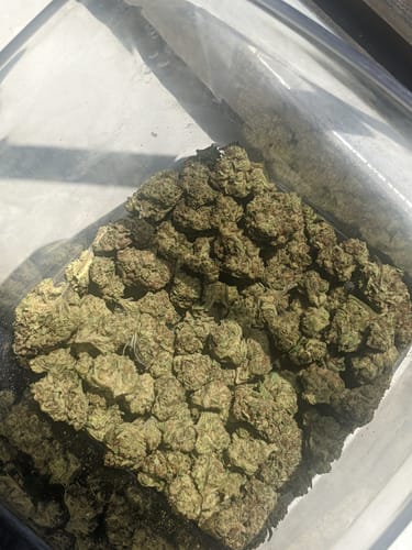 Customer photo review of Fire OG - 28 Grams - Indica