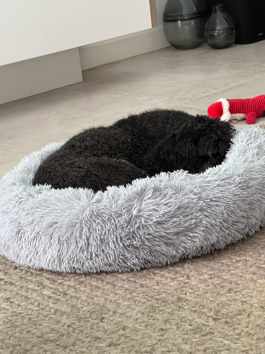 Customer photo review of Pawz Non-Removable Calming Pet Bed