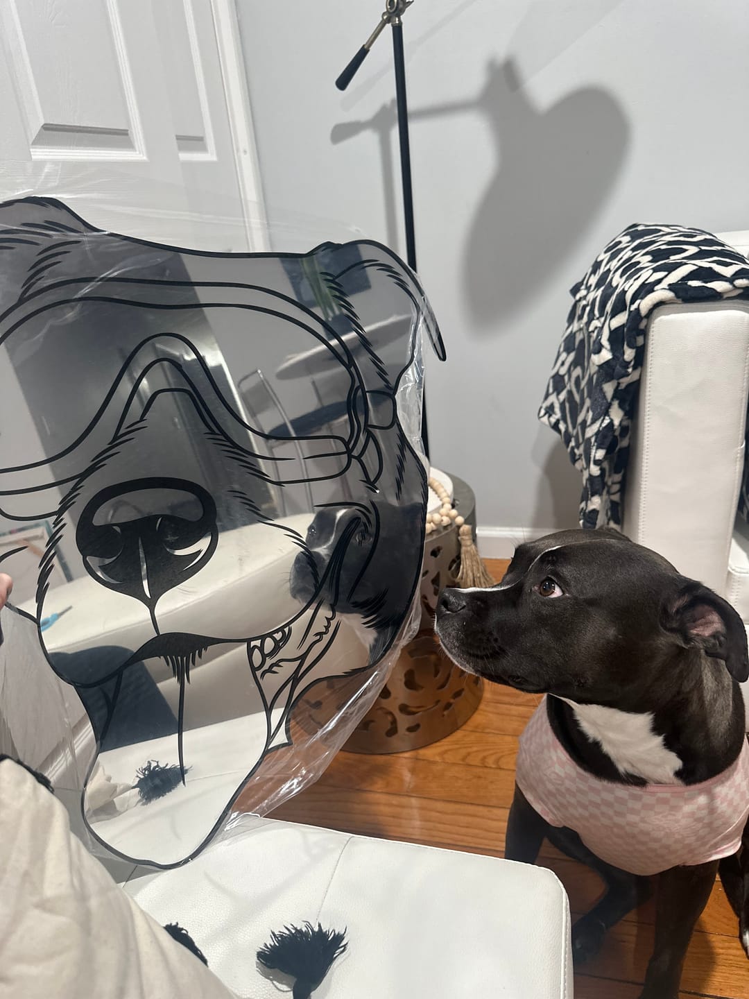 Customer photo review of Create Your Mirror