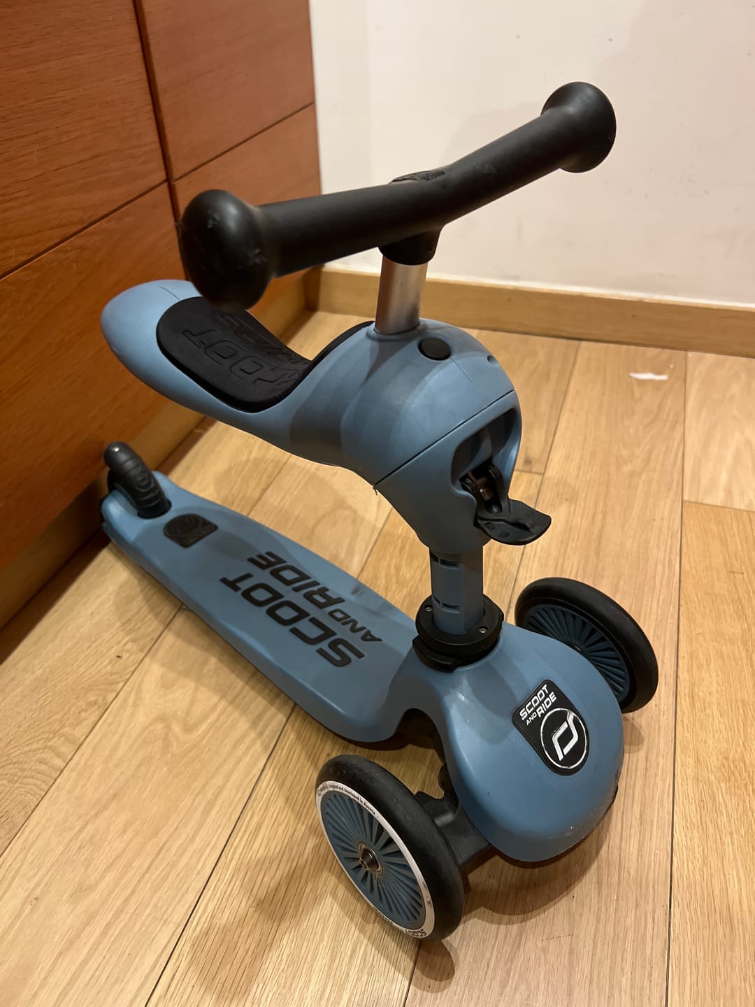 Customer photo review of Scooter 2 en 1 Highwaykick 1 Acero - Scoot and Ride