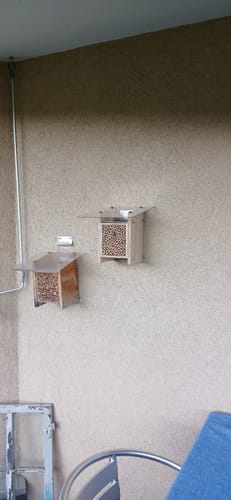 Customer photo review of BeeHome Classic