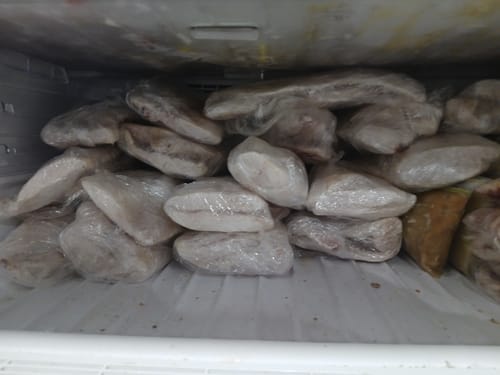 Customer photo review of 5KG Snapper Fillets (Skinned and Boned) Frozen