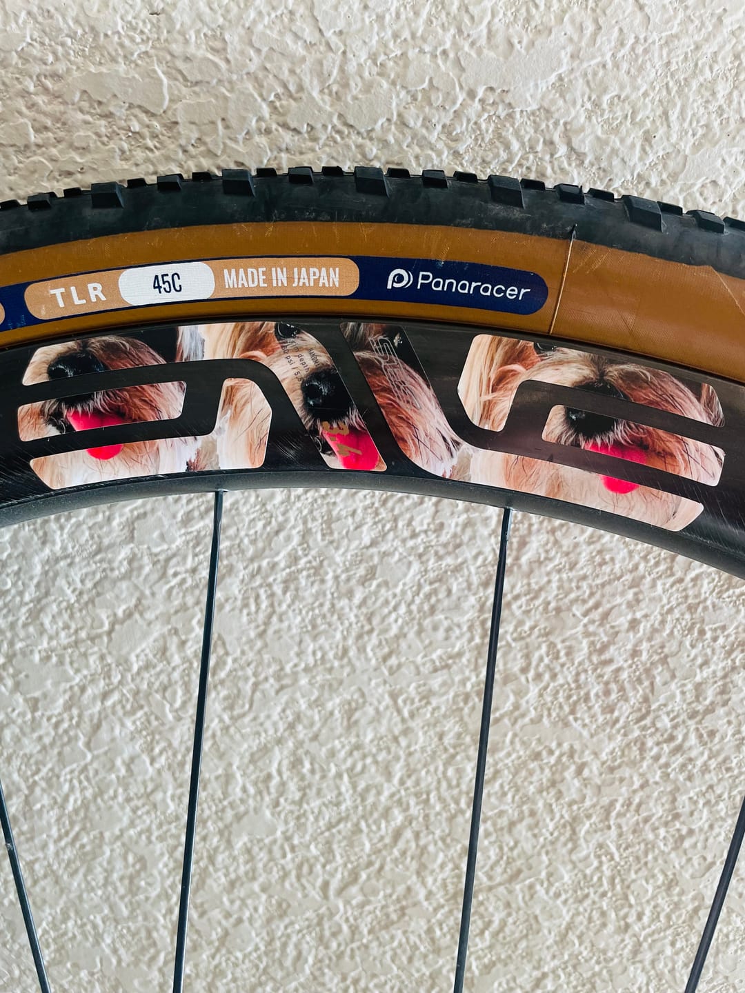Customer photo review of Custom ENVE SES 3.4 Rim Decals