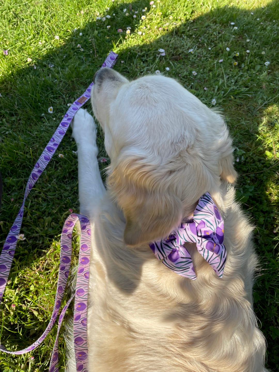 Customer photo review of Smycz miejska "Amethyst" - czarne okucia