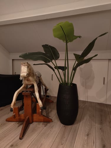 Customer photo review of Strelitzia Kunstplant 120cm