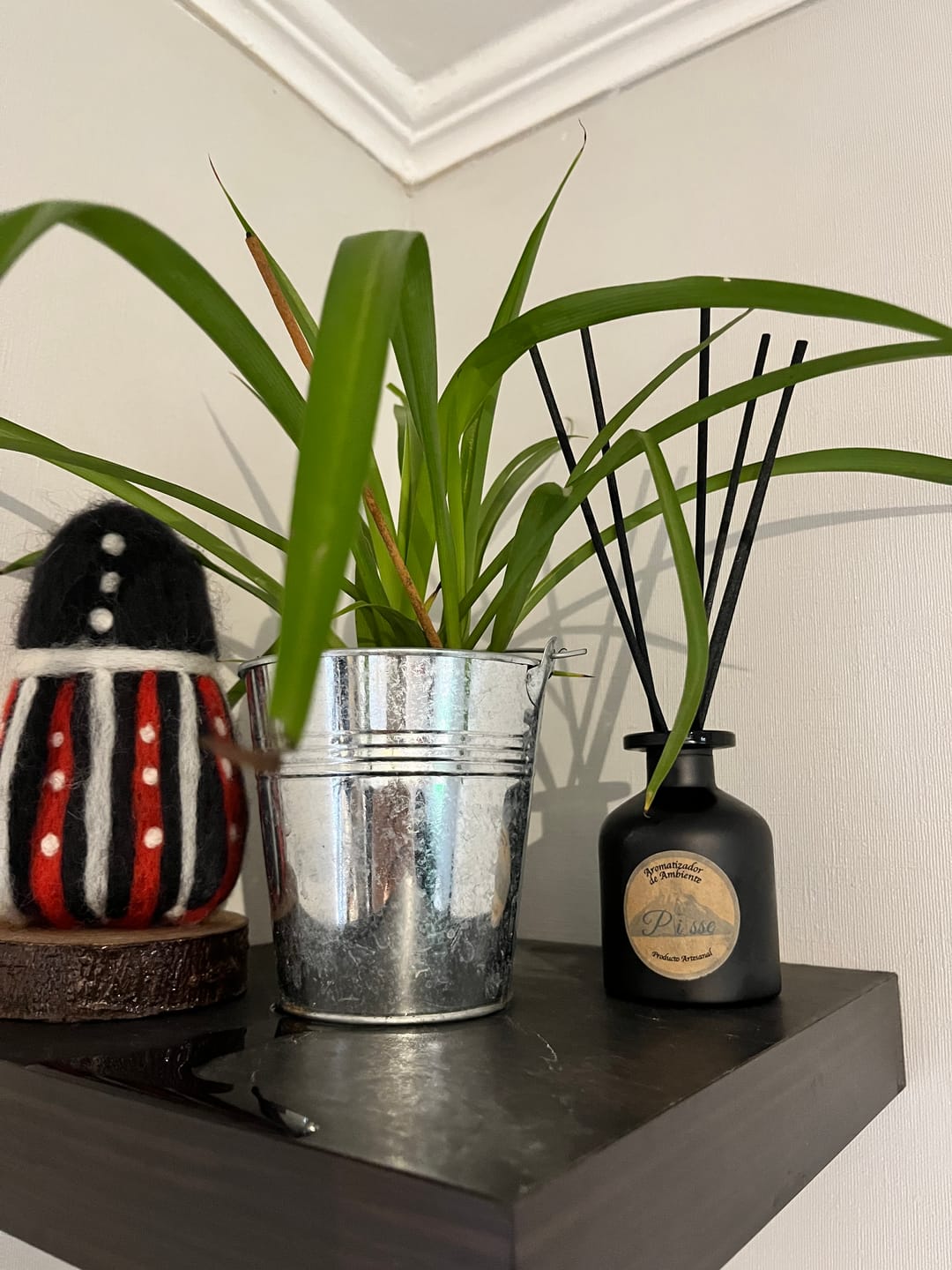 Customer photo review of N 98 - Lemongrass