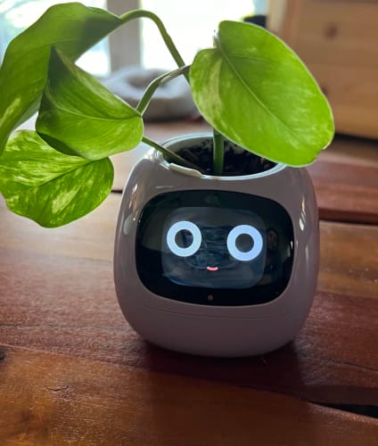 Customer photo review of LitLamp™ Ivy Smart Planter