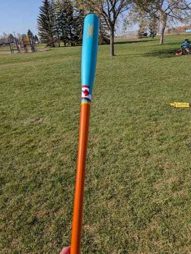 Customer photo review of CUSTOM PS200F BASEBALL FUNGO