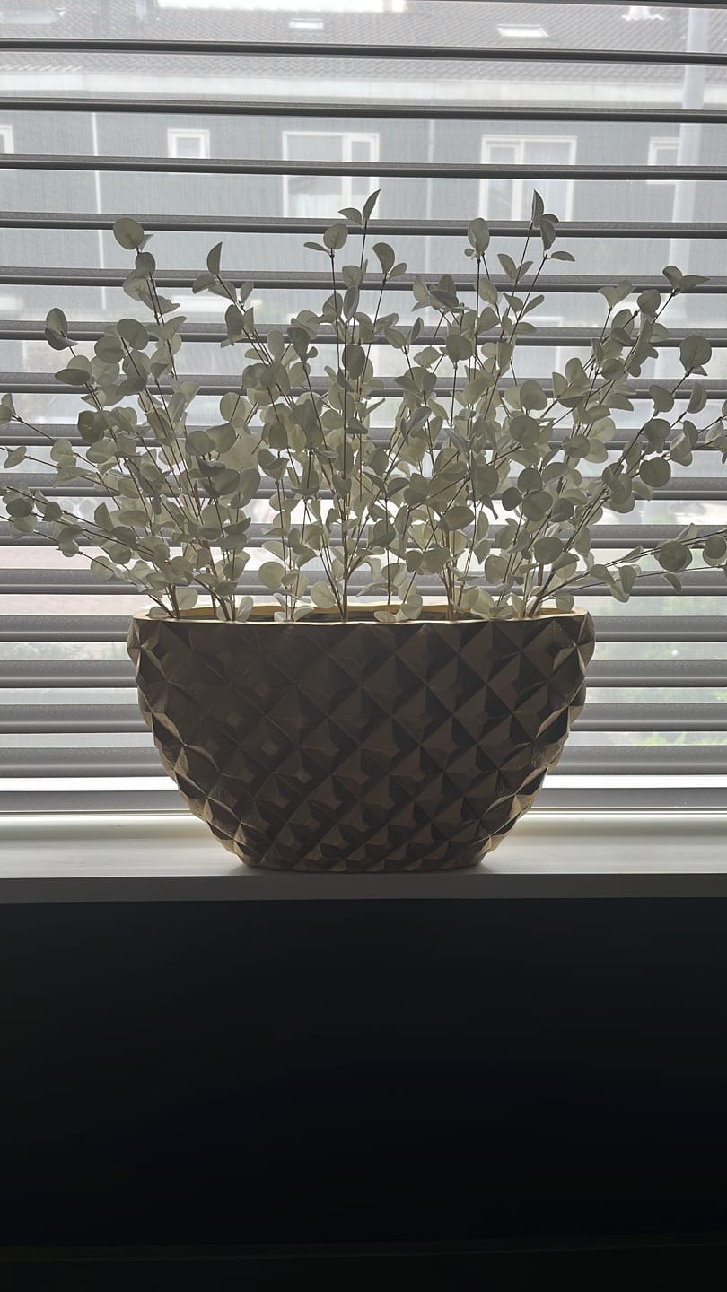 Customer photo review of Kunst Eucalyptus - Crème (5stengels)