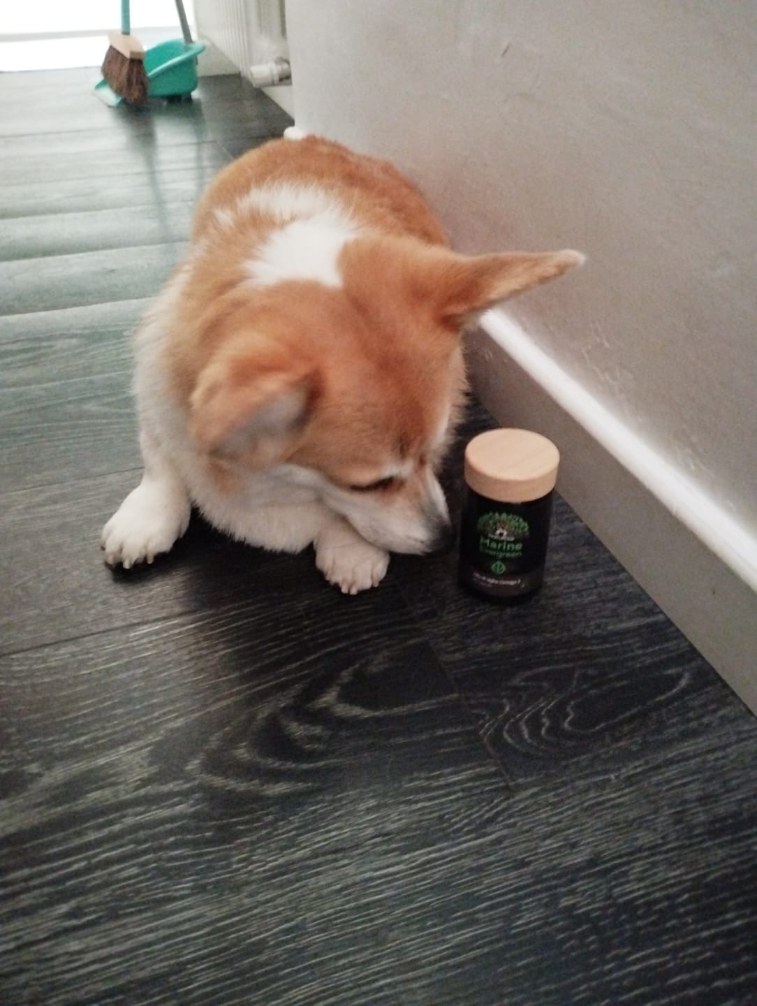 Customer photo review of Olio di alghe Omega 3 (60 capsule)
