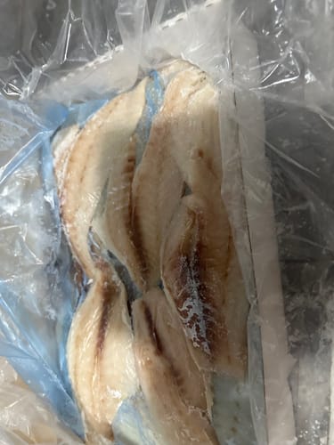 Customer photo review of 5KG Snapper Fillets (Skinned and Boned) Frozen