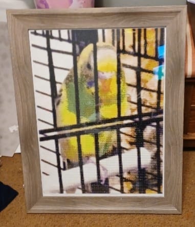 Customer photo review of DIAMOND PAINTING MED DIT EGET FOTO