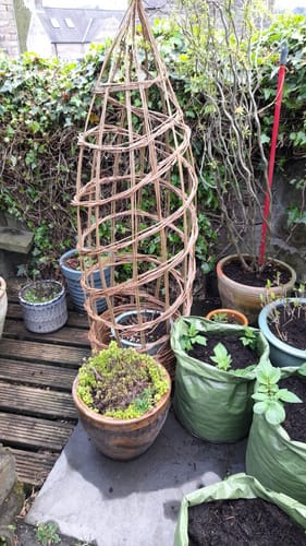Customer photo review of The Willow Plant Support - Online Course and Kit