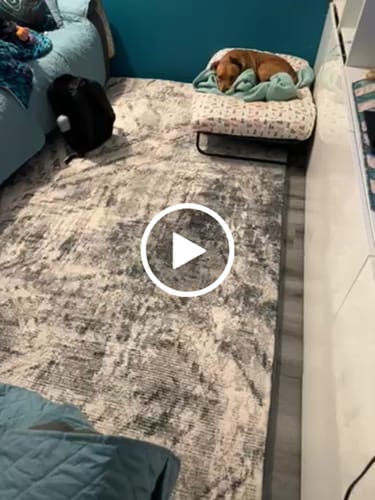 Customer video review of The Mellow Mat v2® Designer Print | Storm Shadow (Soft Touch Sensory Tatami Rug) PR03