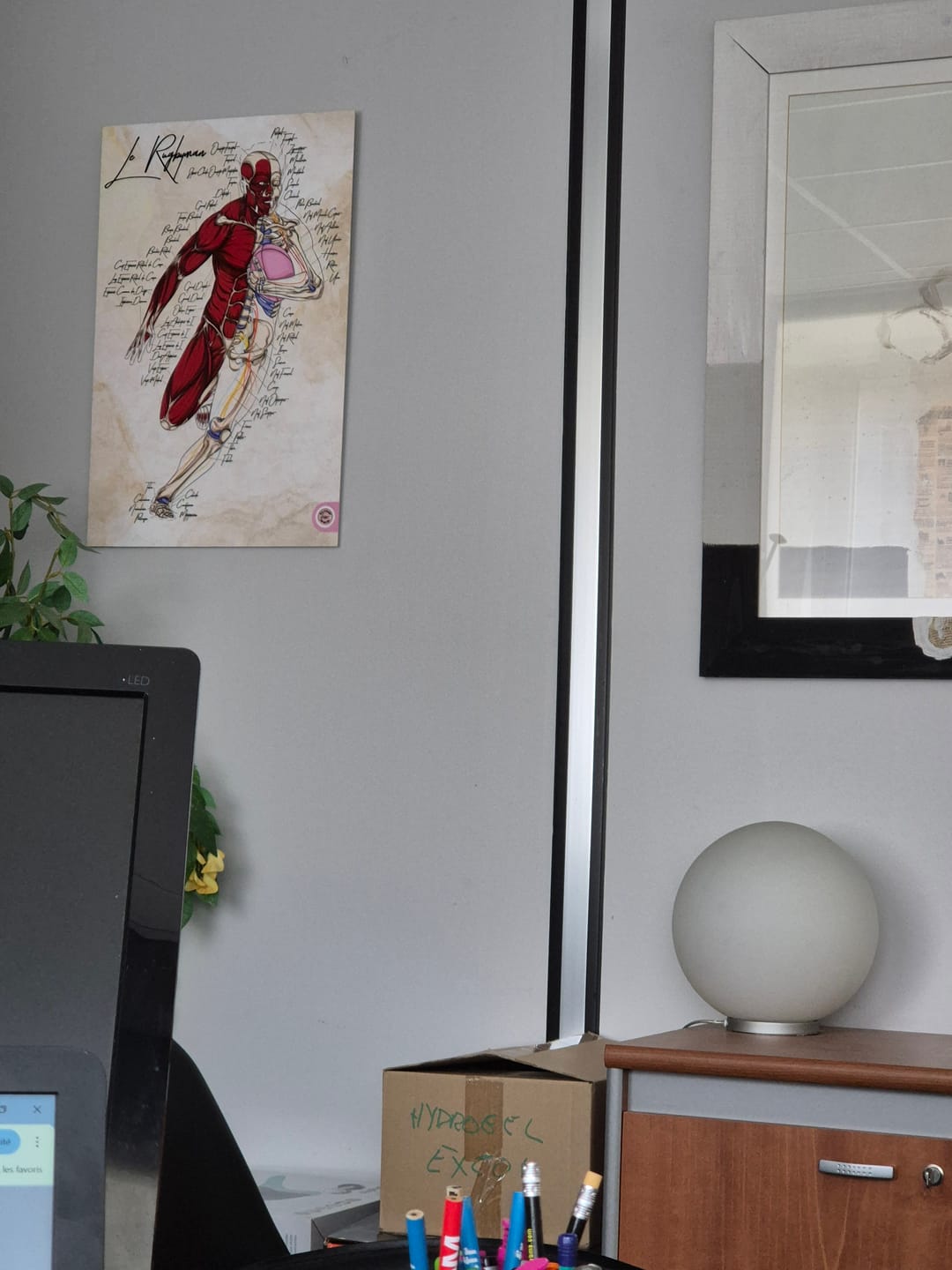 Customer photo review of Poster anatomique de la Danse